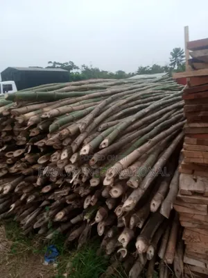 Bamboo R Bamboo in Lekki
