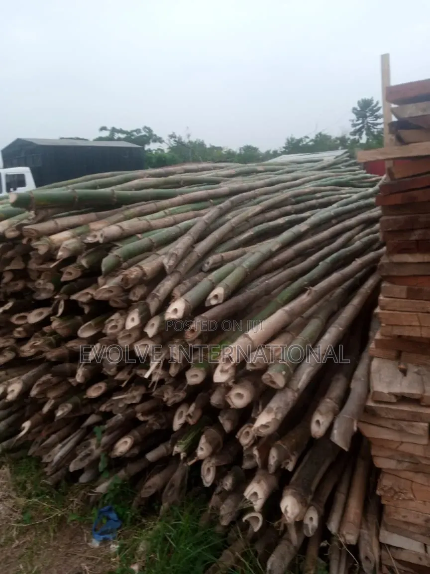 Bamboo R Bamboo in Lekki