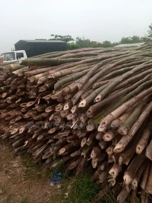 Bamboo R Bamboo in Lekki