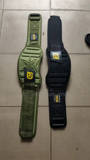 Gym Weight Belt