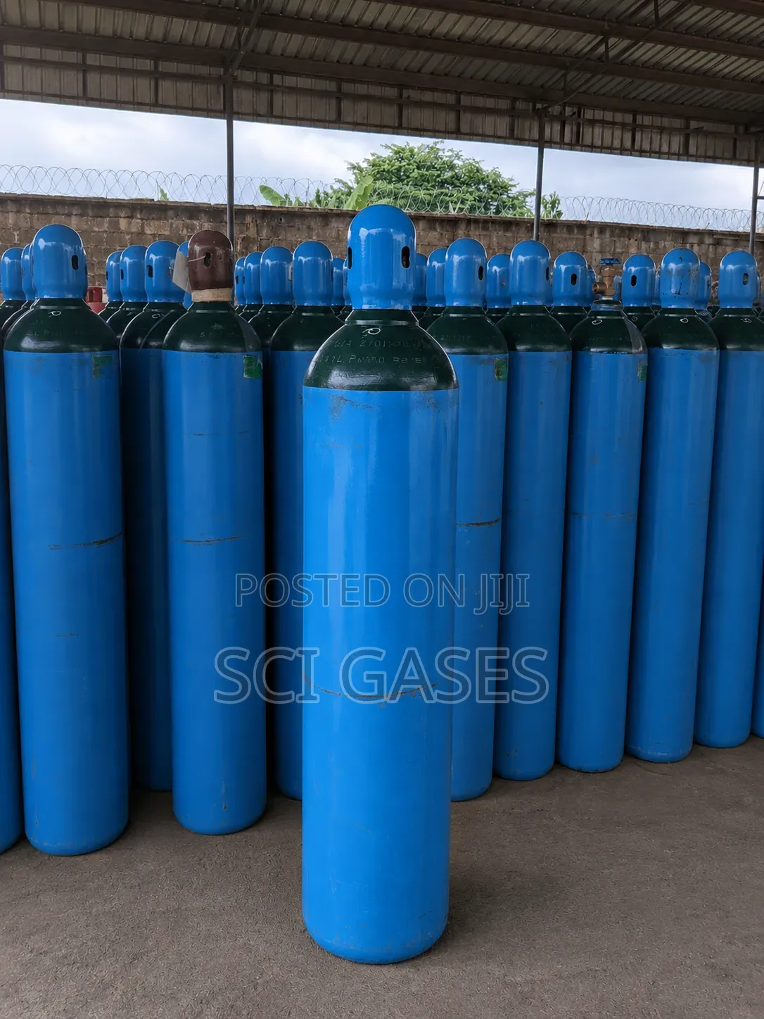 Argon Gas Filled Cylinder (High Purity)