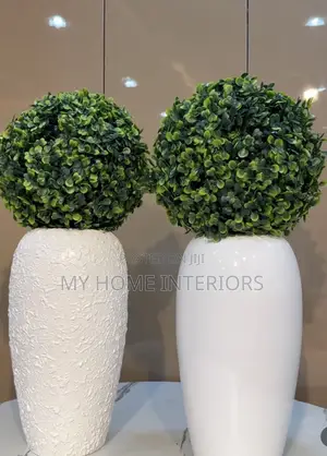 Medium Vase Plant