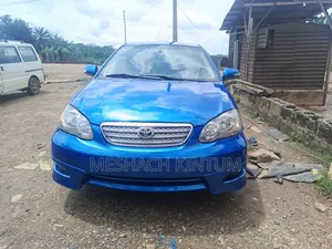 Toyota Corolla 2008 Blue