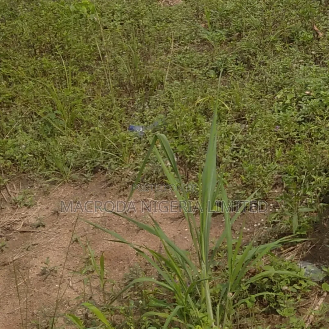 Standard Half Plot at Amule