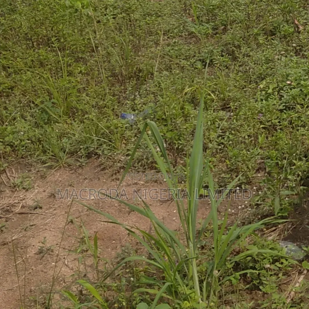 Standard Half Plot at Amule