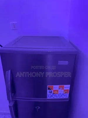 Skyrun 252l Fridge