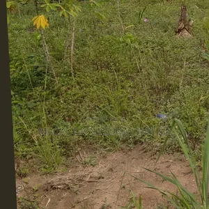 15 Plots of Land Available at a Good Area