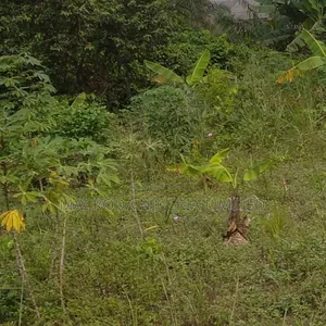 Full Plot of Land in a Strategic Location