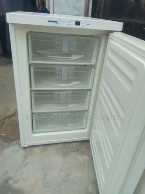 Liebherr Table Top Freezer for Block