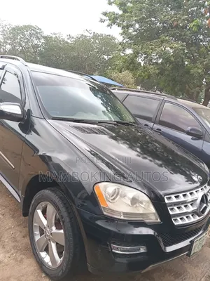 Mercedes-Benz M Class 2009 Black