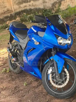 Kawasaki 2012 Blue