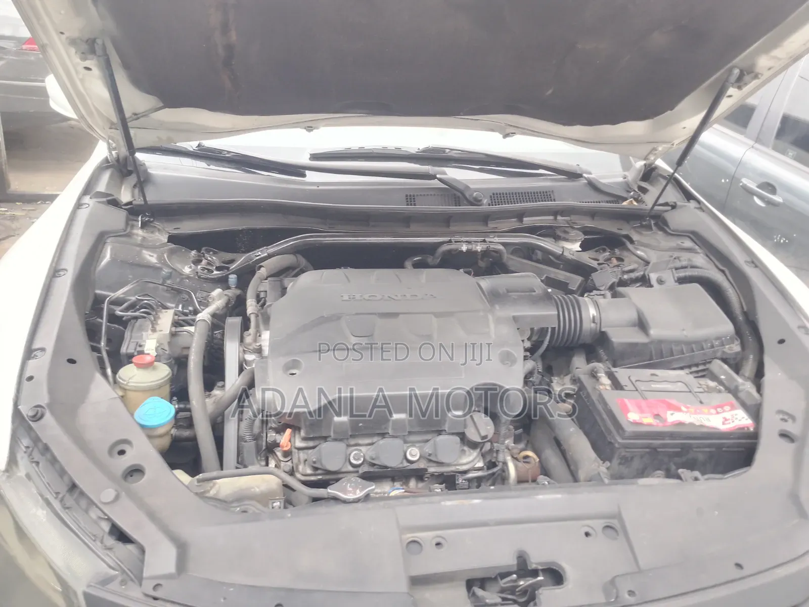 Honda Crosstour 2012 White