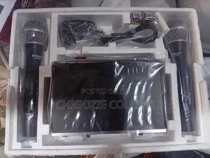 Dh-744 Professional Wireless Microphone