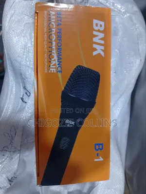 BNK B-1 Beta Professional Microphone