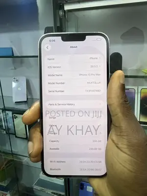 Apple iPhone 13 Pro Max 256 GB Silver