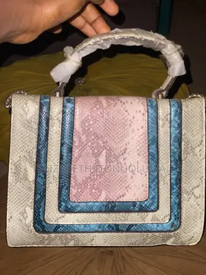 A Multicolor Luxury Bag