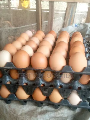 Poultry Product for Sale