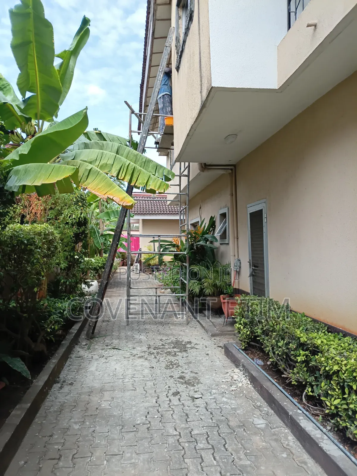 Building and Trade Services