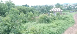 Plots of Land