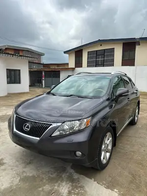 Lexus RX 2010 Gray