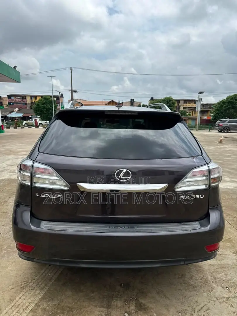 Lexus RX 2010 Gray