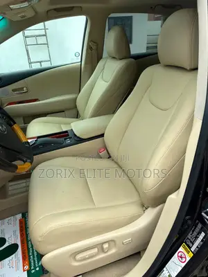 Lexus RX 2010 Gray