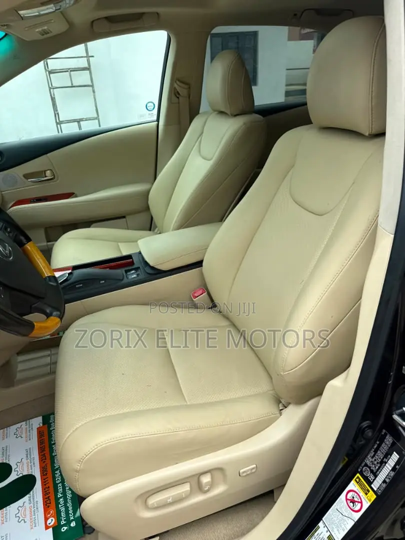 Lexus RX 2010 Gray