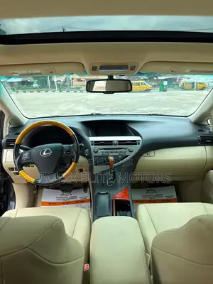 Lexus RX 2010 Gray