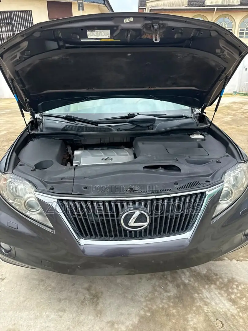 Lexus RX 2010 Gray