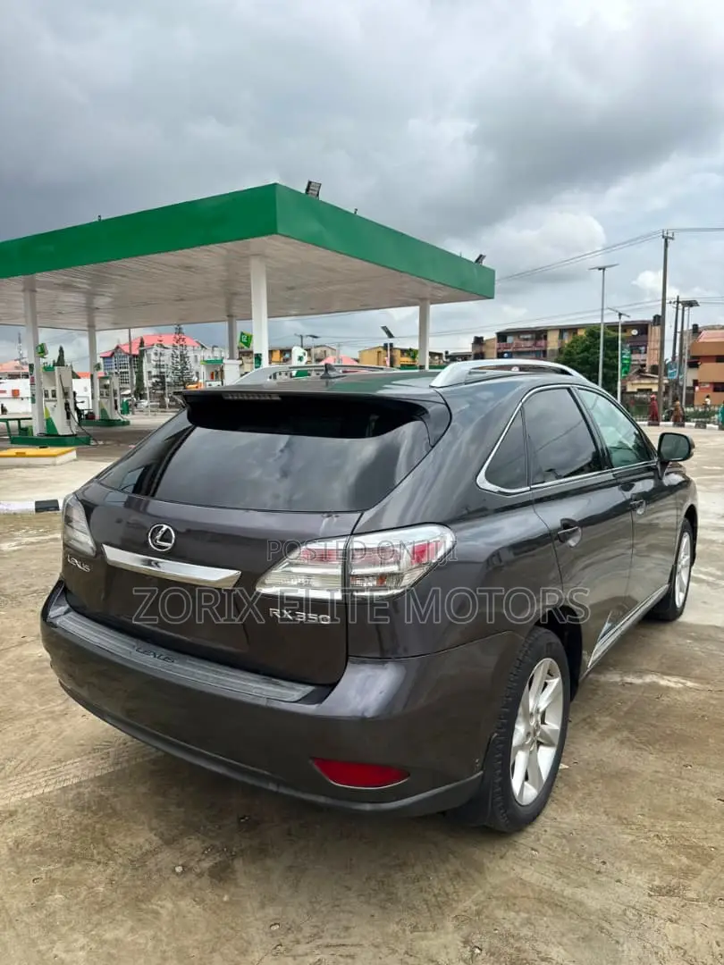 Lexus RX 2010 Gray