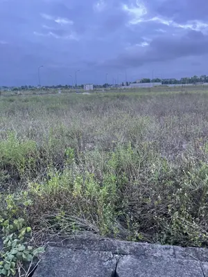 For Sale 2 Plots Opposite LNG Office