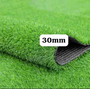 Artificial Grass Carpet