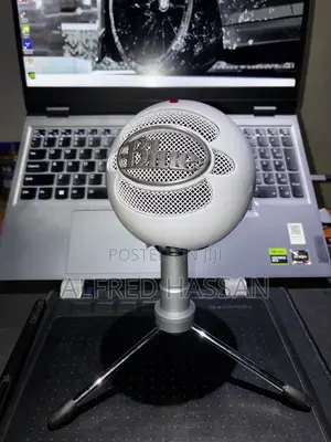 Recording Microphone (Music/Podcast/Gaming)