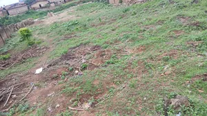 Two Plot for Sale at Orogun