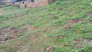 Two Plot for Sale at Orogun