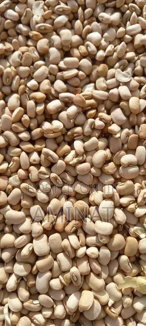 Freshmart Honey Beans 1kg - Stone-free | Hand Picked/Osun State