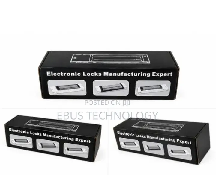 Electronic Locks Manufacturing Experts