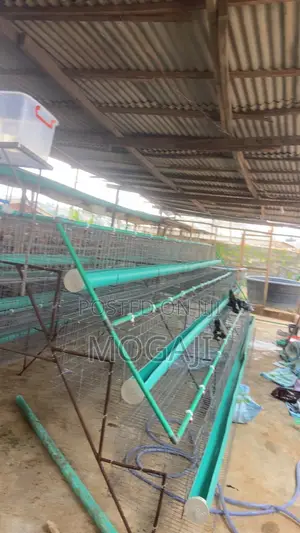 Battery Cage