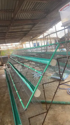 Battery Cage