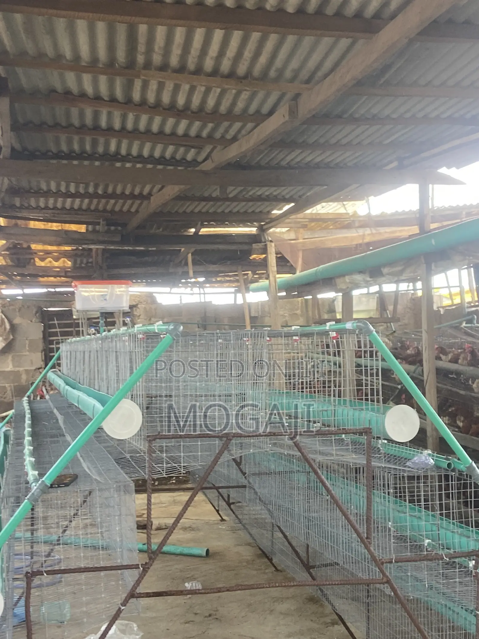 Battery Cage