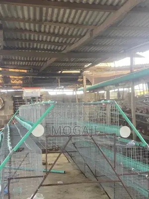 Battery Cage
