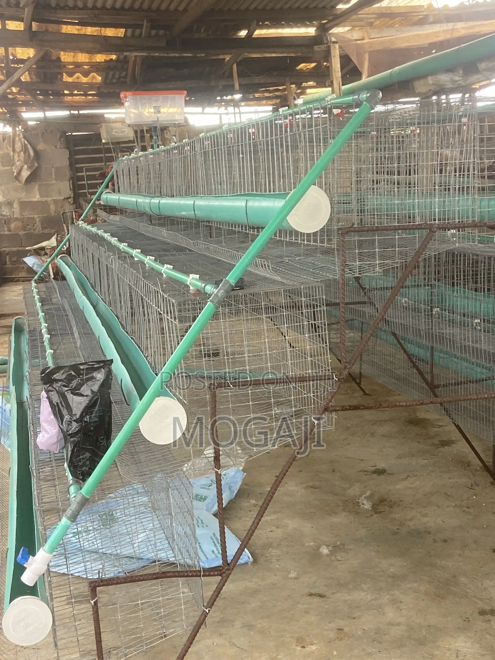 Battery Cage