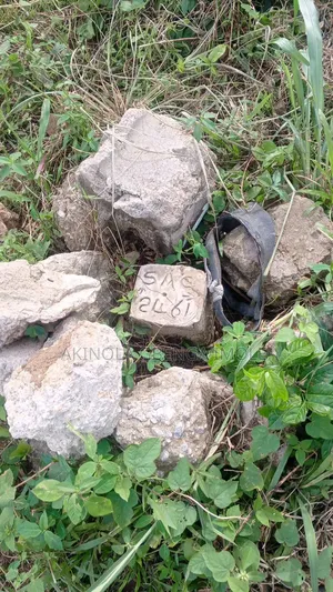 2 Plot of Land