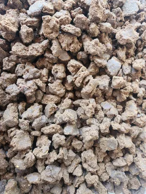 Premium Neem Cake Available for Bulk Supply