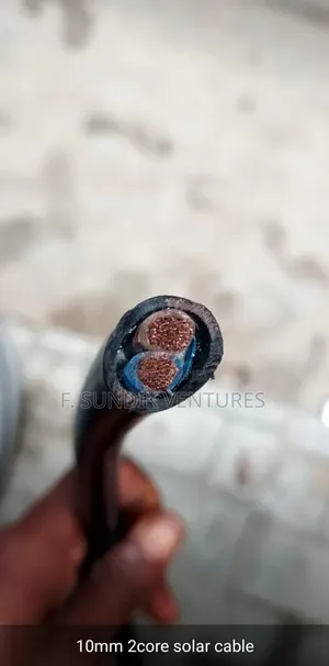 10mm 2core Shielded Cable Full Guage