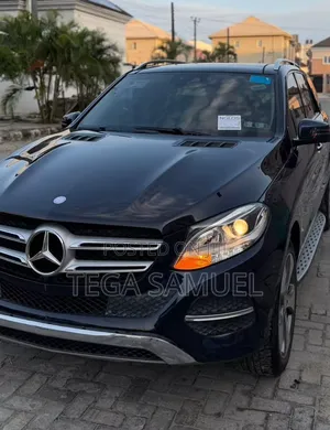 Mercedes-Benz M Class 2013 Blue