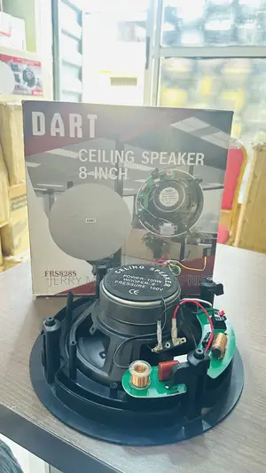 Original 100w Dart Ceiling Speakers With Woofer