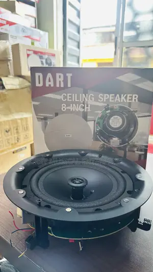 100w High Quality Ceiling Speakers