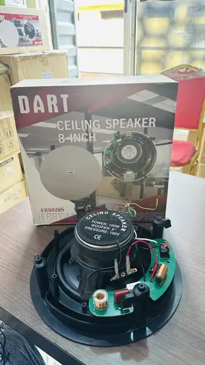 100w High Quality Ceiling Speakers