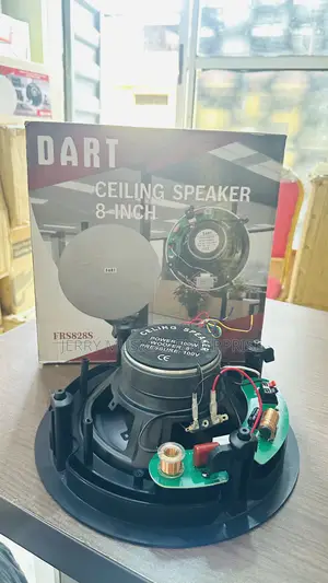 Ceiling Speakers 100w